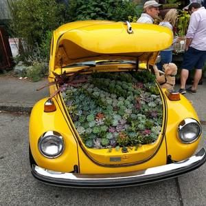 Meet your Posher, Catherine